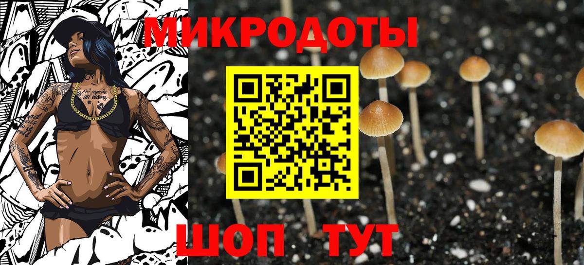Галлюциногенные грибы Magic Shrooms  закладки  Владикавказ  Вход с VPN 